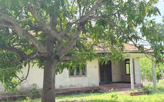 காரைநகரில் வீட்டுடன் காணி விற்பனைக்கு